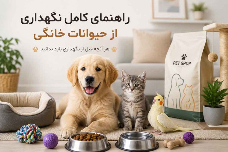 راهنمای کامل نگهداری از حیوانات خانگی برای افراد تازه‌کار