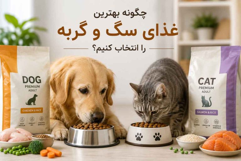 چگونه بهترین غذای سگ و گربه را انتخاب کنیم؟